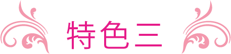 POINT03 特色三